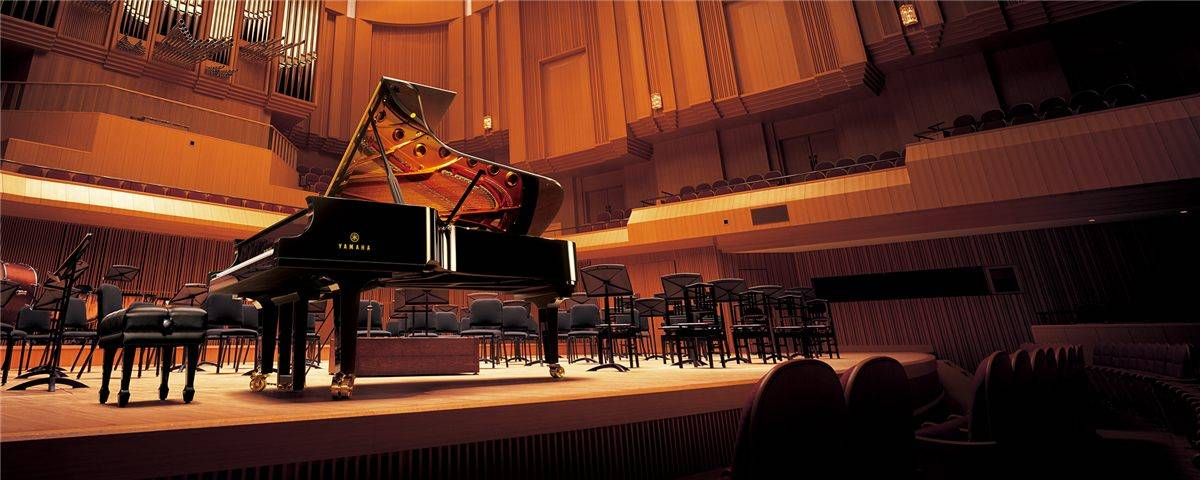 新鄉(xiāng)市聲光樂(lè)器有限公司